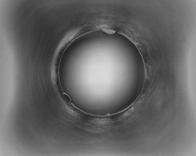 X0000113110245200908281414
