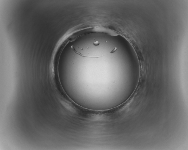 X0000113110246200908281414