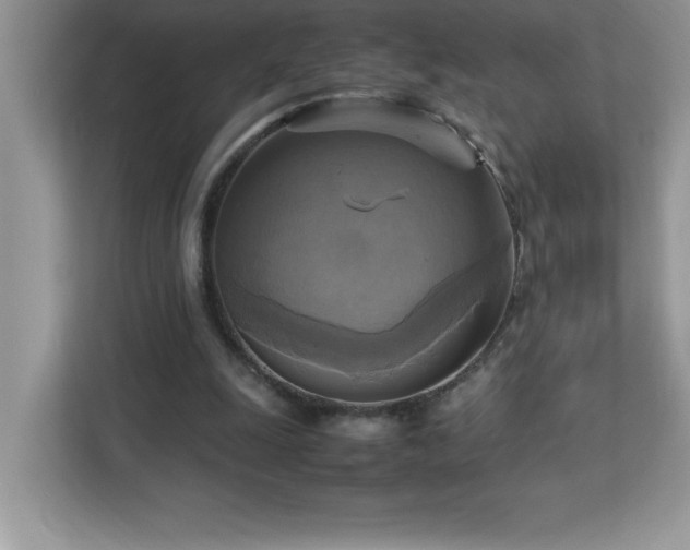 X0000113110247200908281414