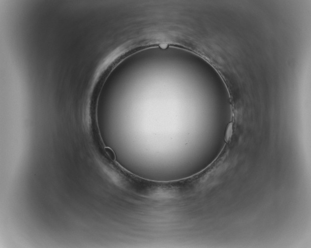 X0000113110248200908281414