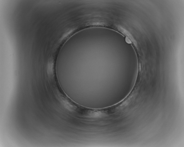 X0000113110249200908281414