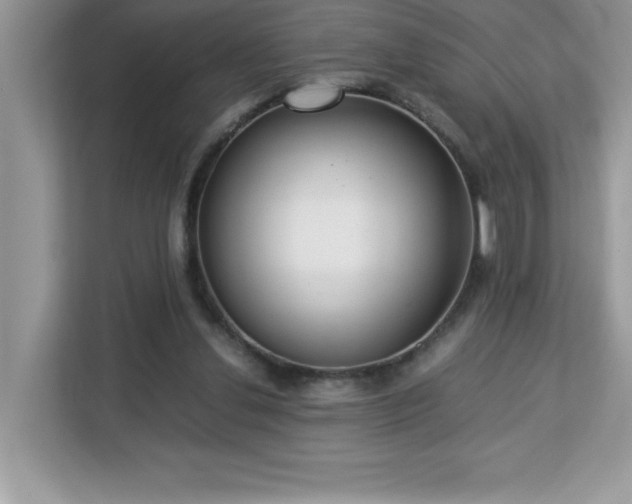 X0000113110252200908281414