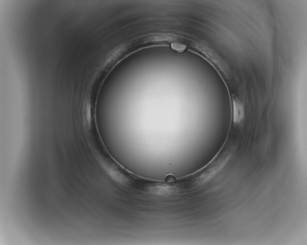 X0000113110253200908281414