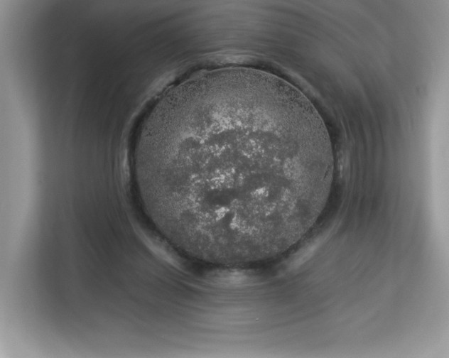 X0000113110254200908281414