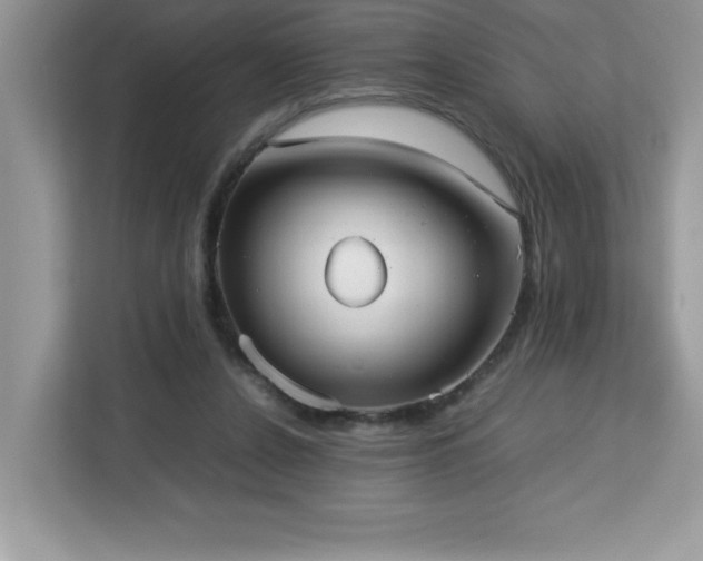 X0000113110256200908281414