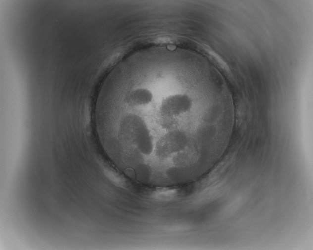 X0000113110257200908281414