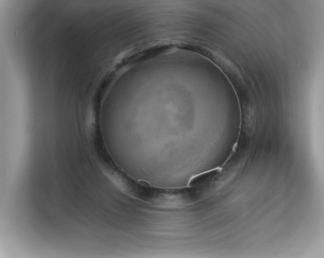 X0000113110260200908281415