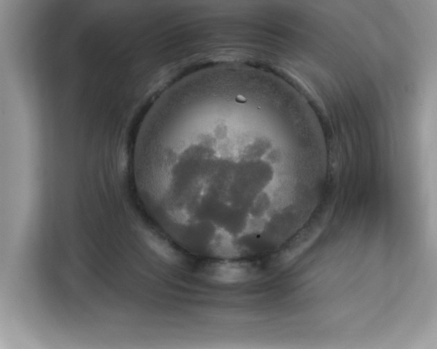 X0000113110261200908281415