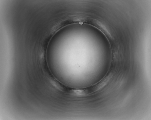 X0000113110265200908281415