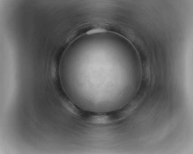 X0000113110266200908281415