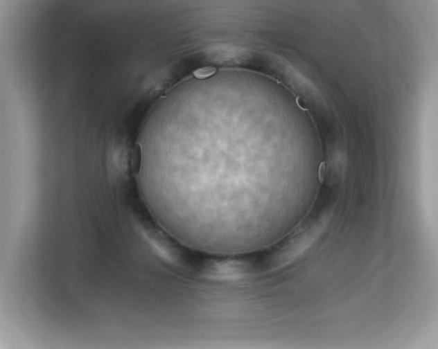 X0000113110268200908281415