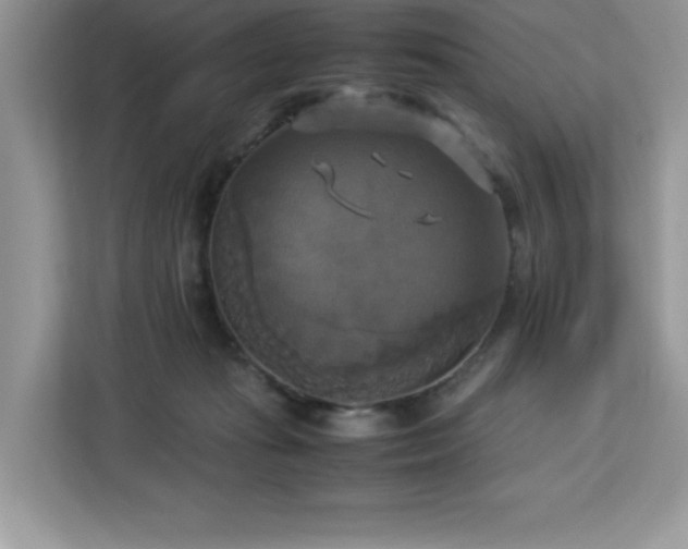 X0000113110269200908281415