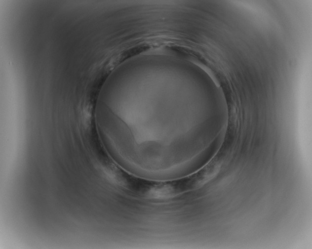 X0000113110271200908281415