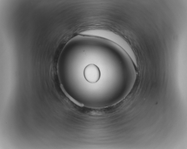 X0000113110272200908281415