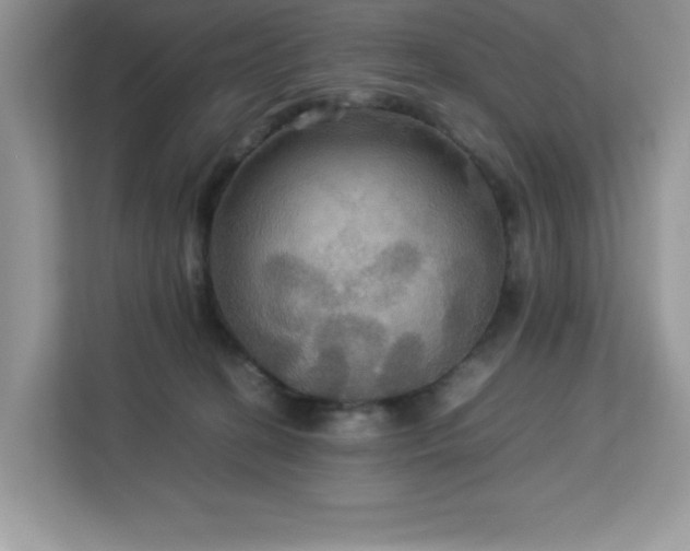 X0000113110274200908281415