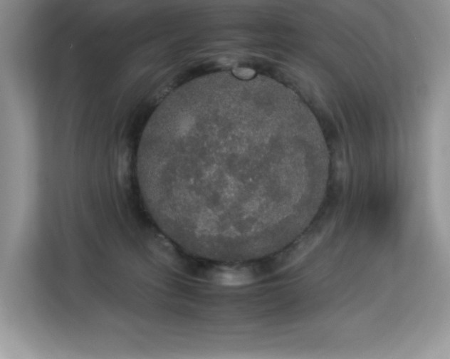 X0000113110275200908281415