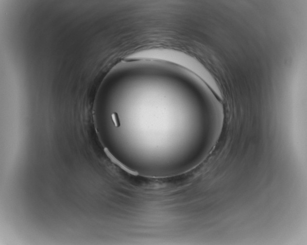 X0000113110276200908281415