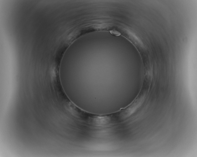 X0000113110277200908281415