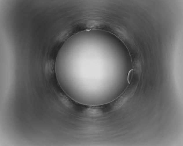 X0000113110280200908281415