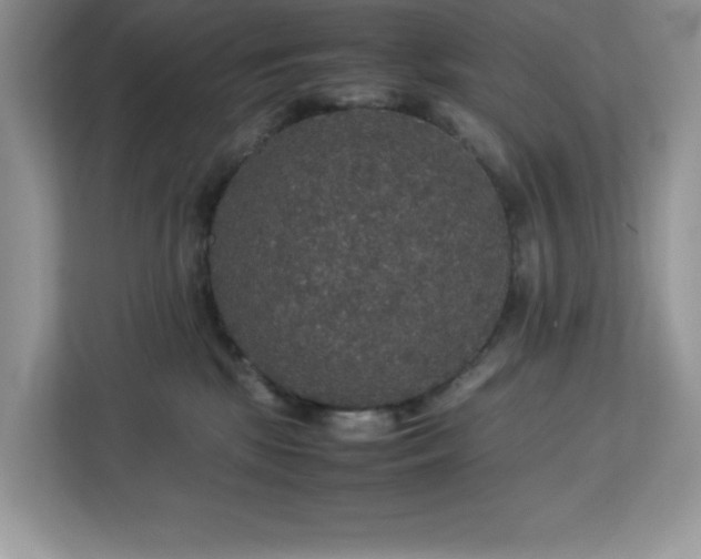X0000113110281200908281415
