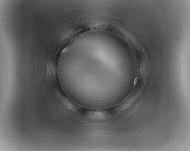 X0000113110282200908281415
