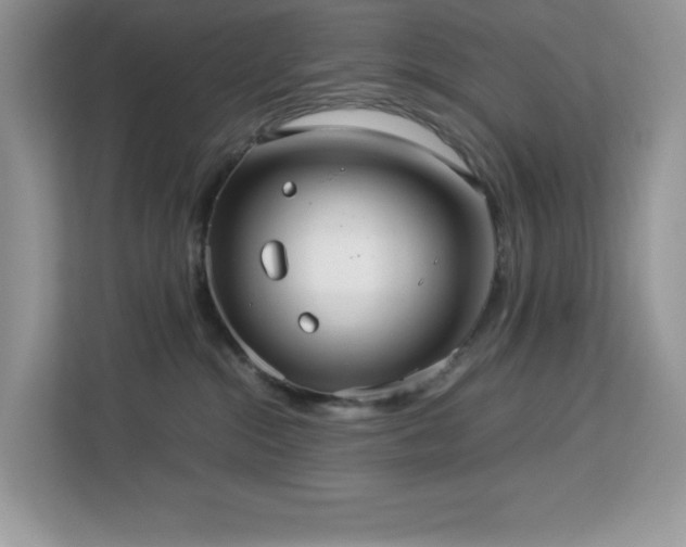 X0000113110284200908281415