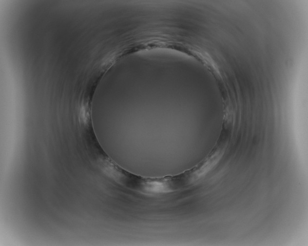 X0000113110285200908281415