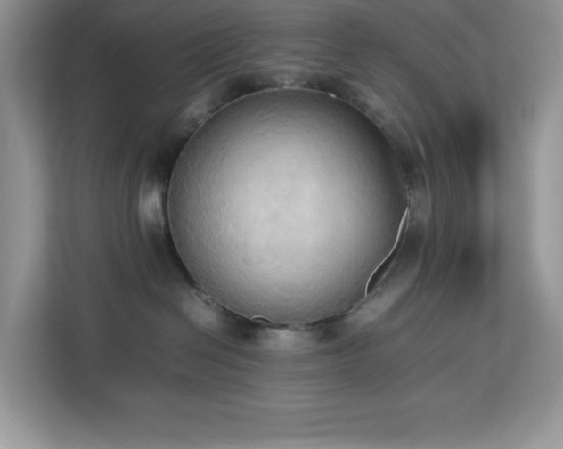 X0000113110286200908281415
