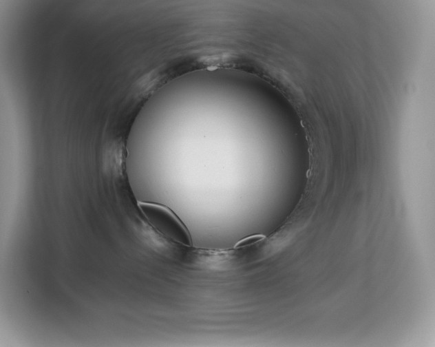 X0000113110288200908281415