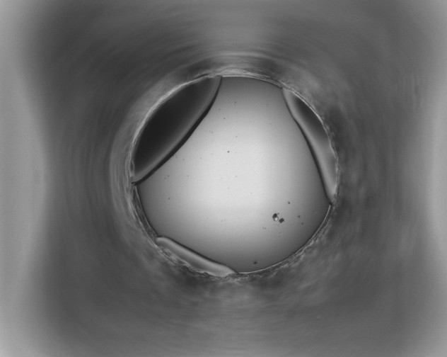 X0000113110289200908281414