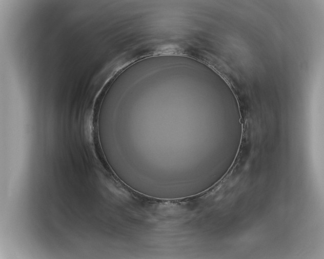 X0000113110290200908281414