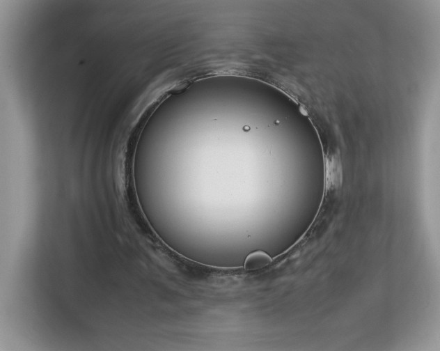 X0000113110291200908281414