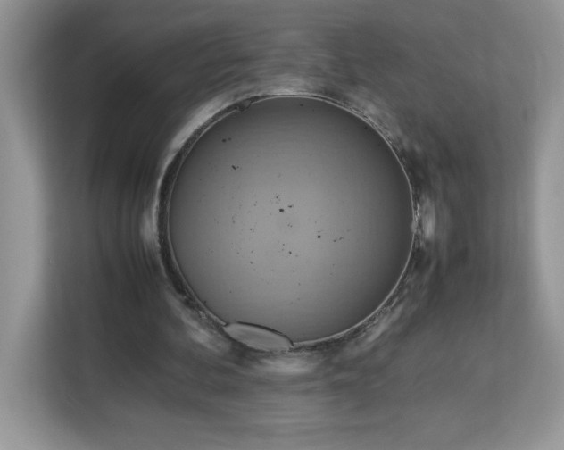 X0000113110292200908281414