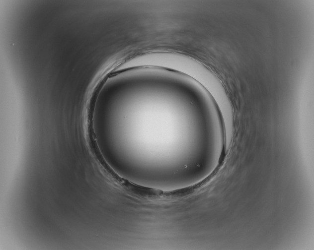 X0000113110293200908281414
