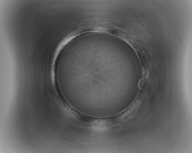 X0000113110294200908281414