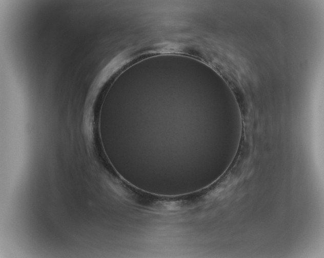 X0000113110295200908281414