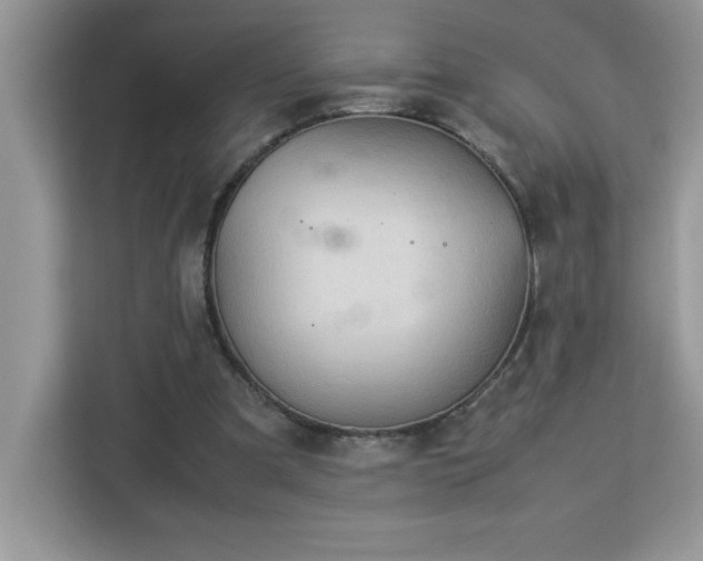 X0000113110297200908281414