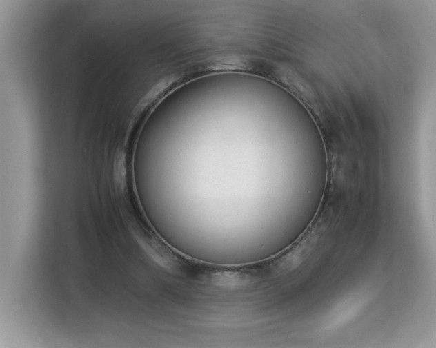 X0000113110298200908281414