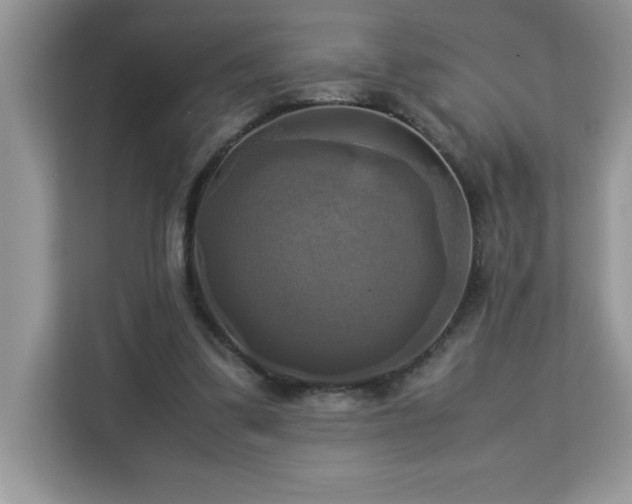 X0000113110299200908281414