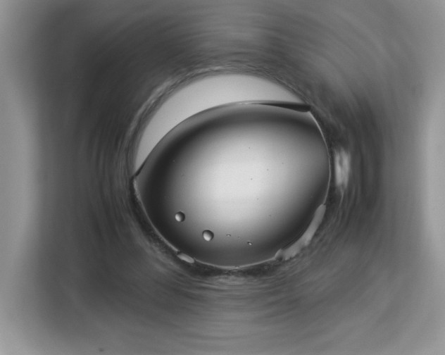 X0000113110300200908281414
