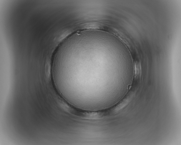 X0000113110301200908281414