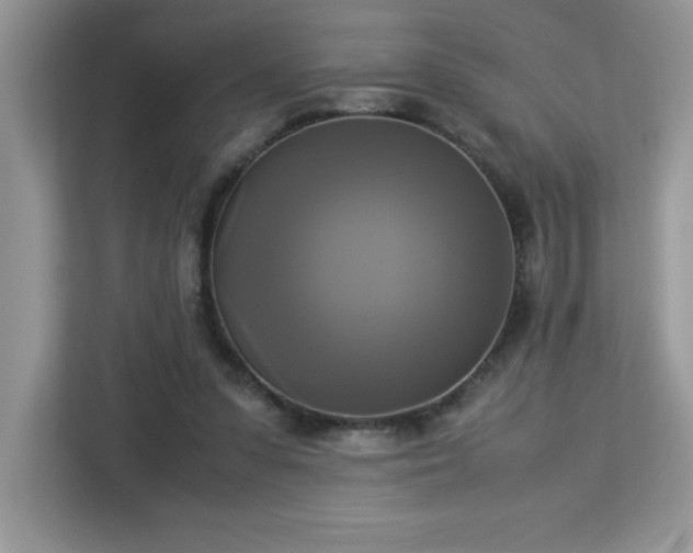 X0000113110303200908281414