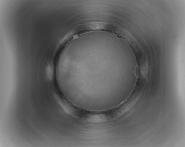 X0000113110304200908281414