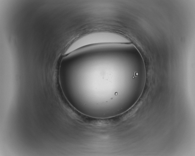 X0000113110305200908281414