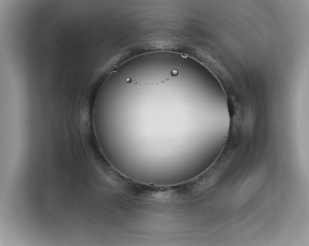 X0000113110306200908281414