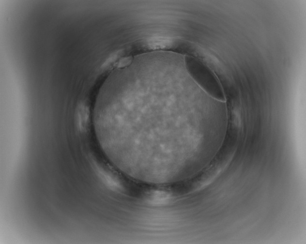 X0000113110308200908281414