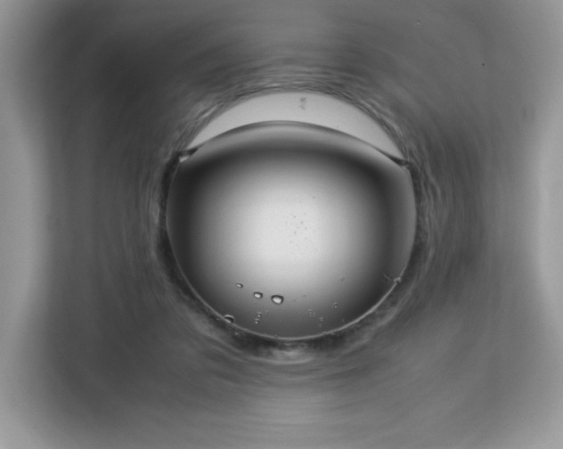 X0000113110309200908281414
