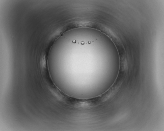 X0000113110310200908281414