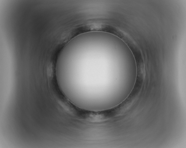 X0000113110311200908281414