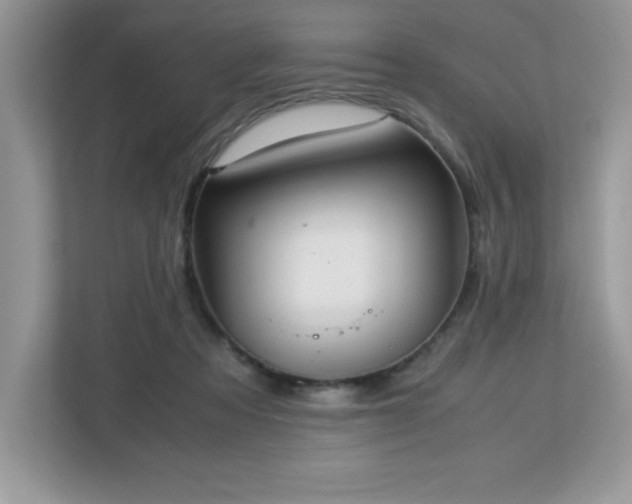 X0000113110313200908281414